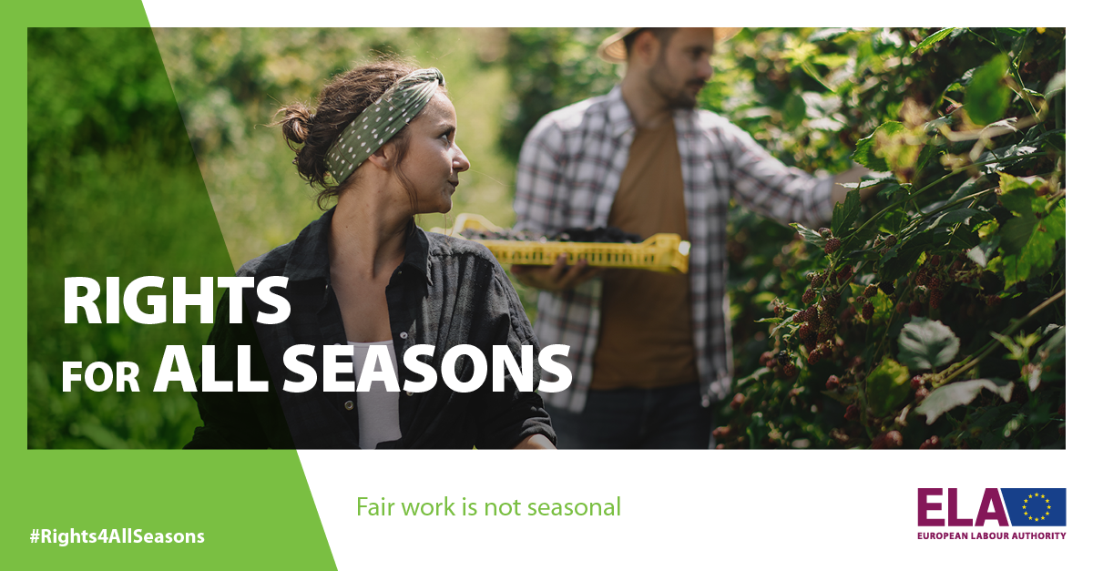 Rights for all seasons European Labour Authority supports fair work